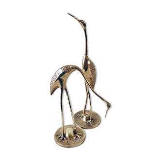 Duo of herons