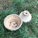 Round planter on stand