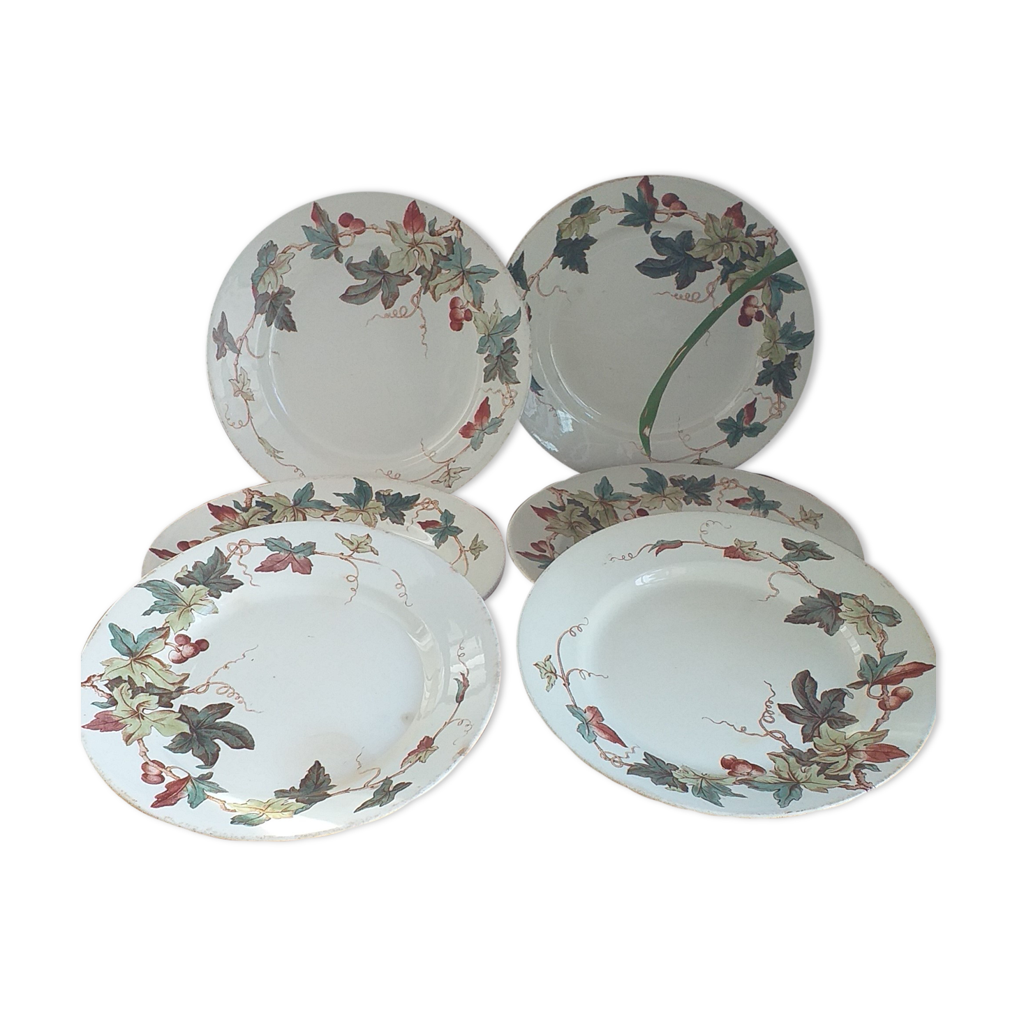 Flat porcelain plates from Lunéville KG ivy model