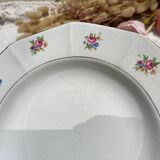 5 vintage hollow plates in opaque porcelain SALINS floral pattern