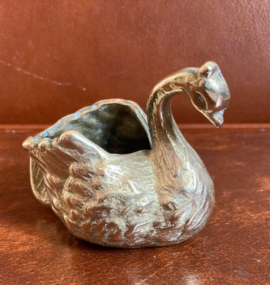 Empty pocket - bronze swan