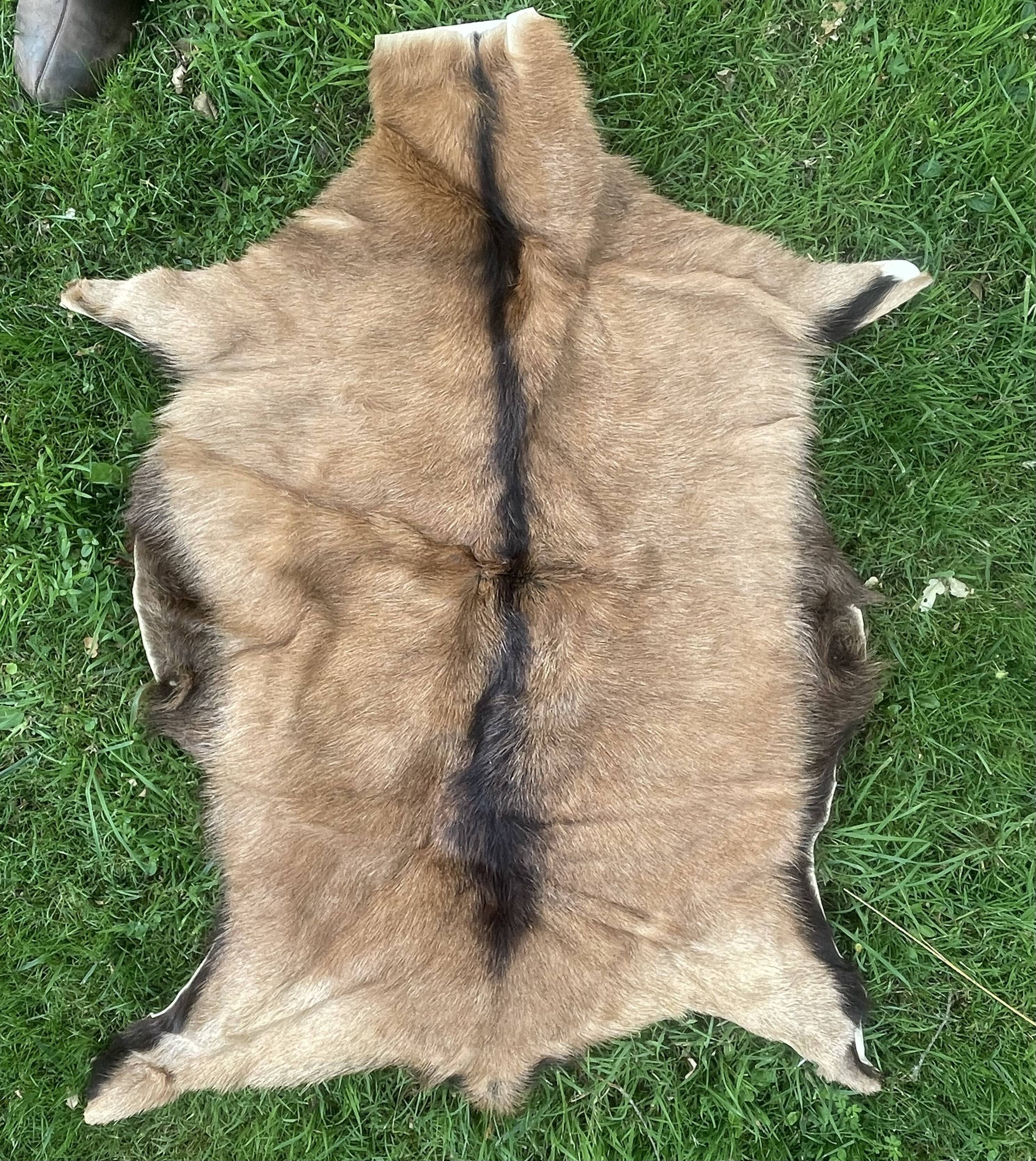 carpet in real goatskin. leather. approx. 102 x 72 cm