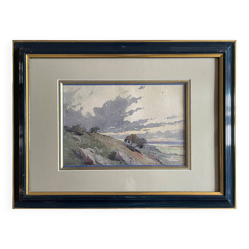 Watercolour painting "Wild Landscape" early 20th century + frame