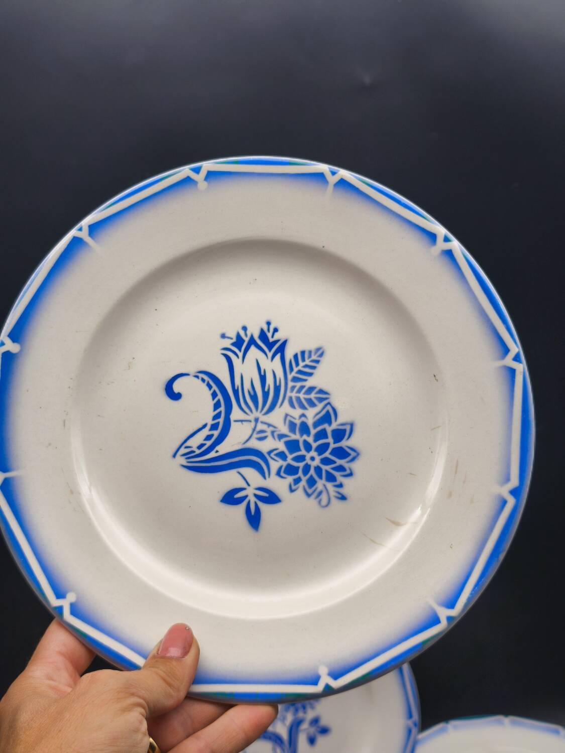 12 Canebière dinner plates
