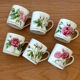 6 cups 5 saucers floral porcelain Hutschenreuther