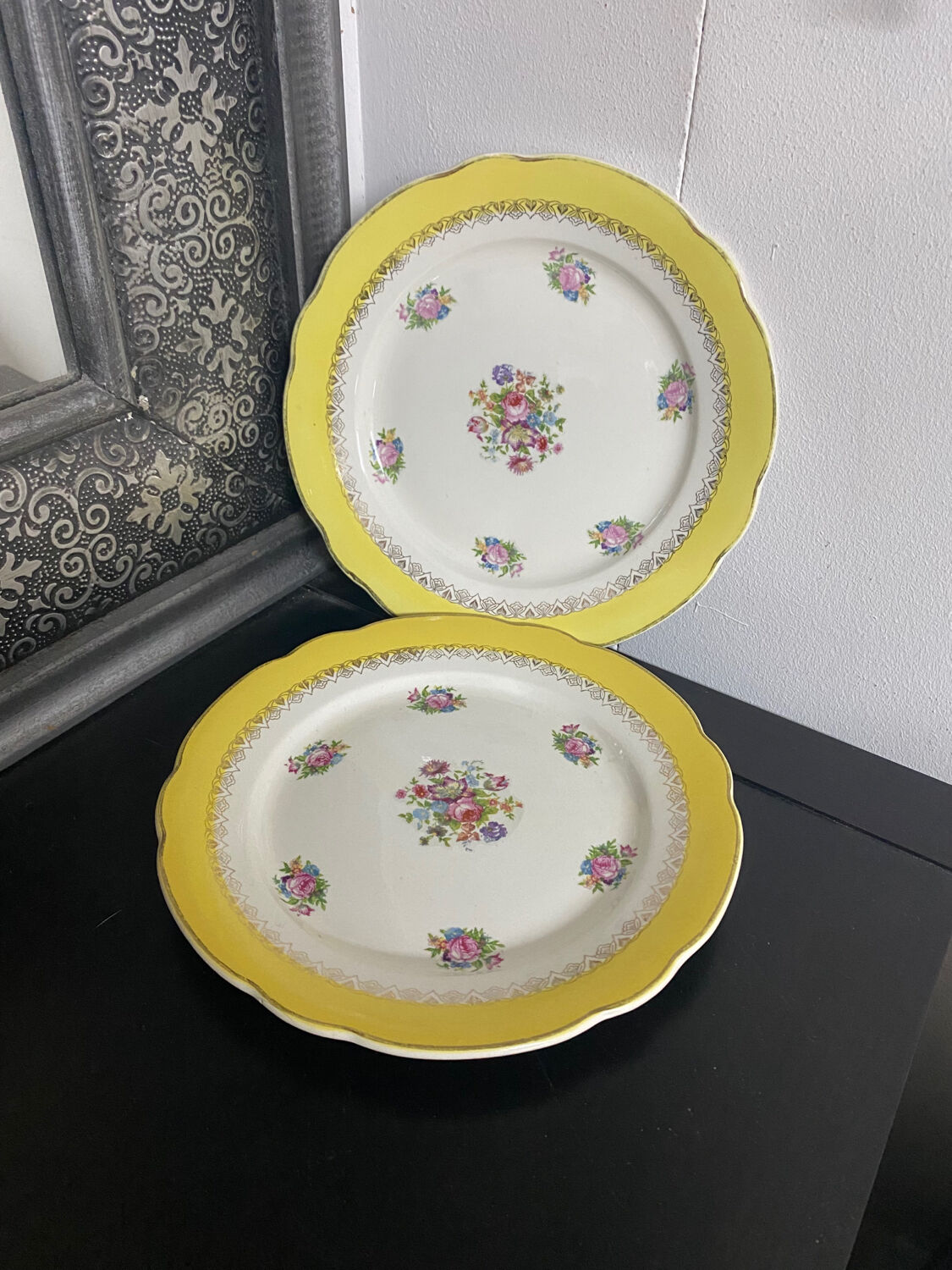 Digoin plates