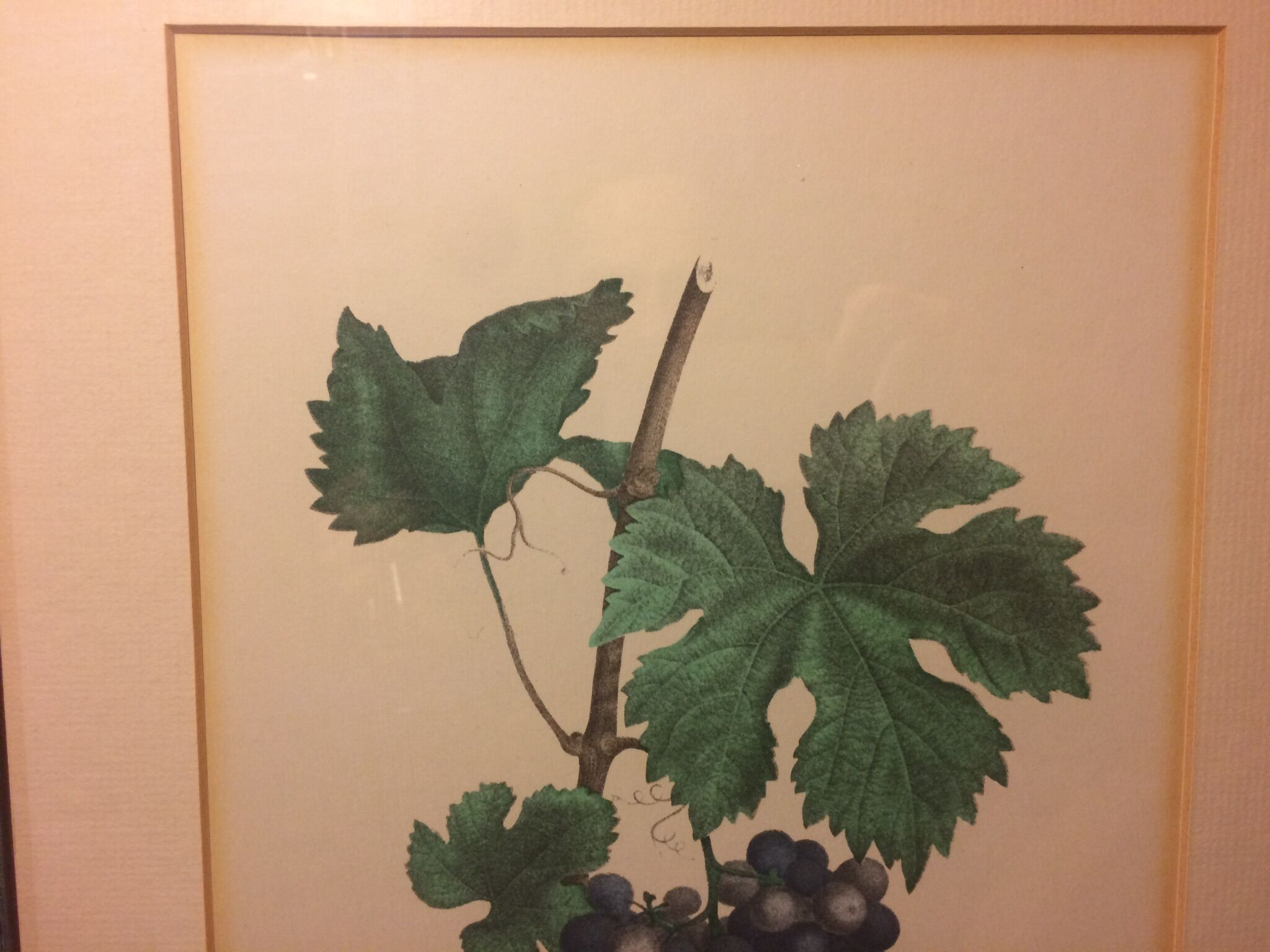 Former vignes botanical plank vintage green wood frame