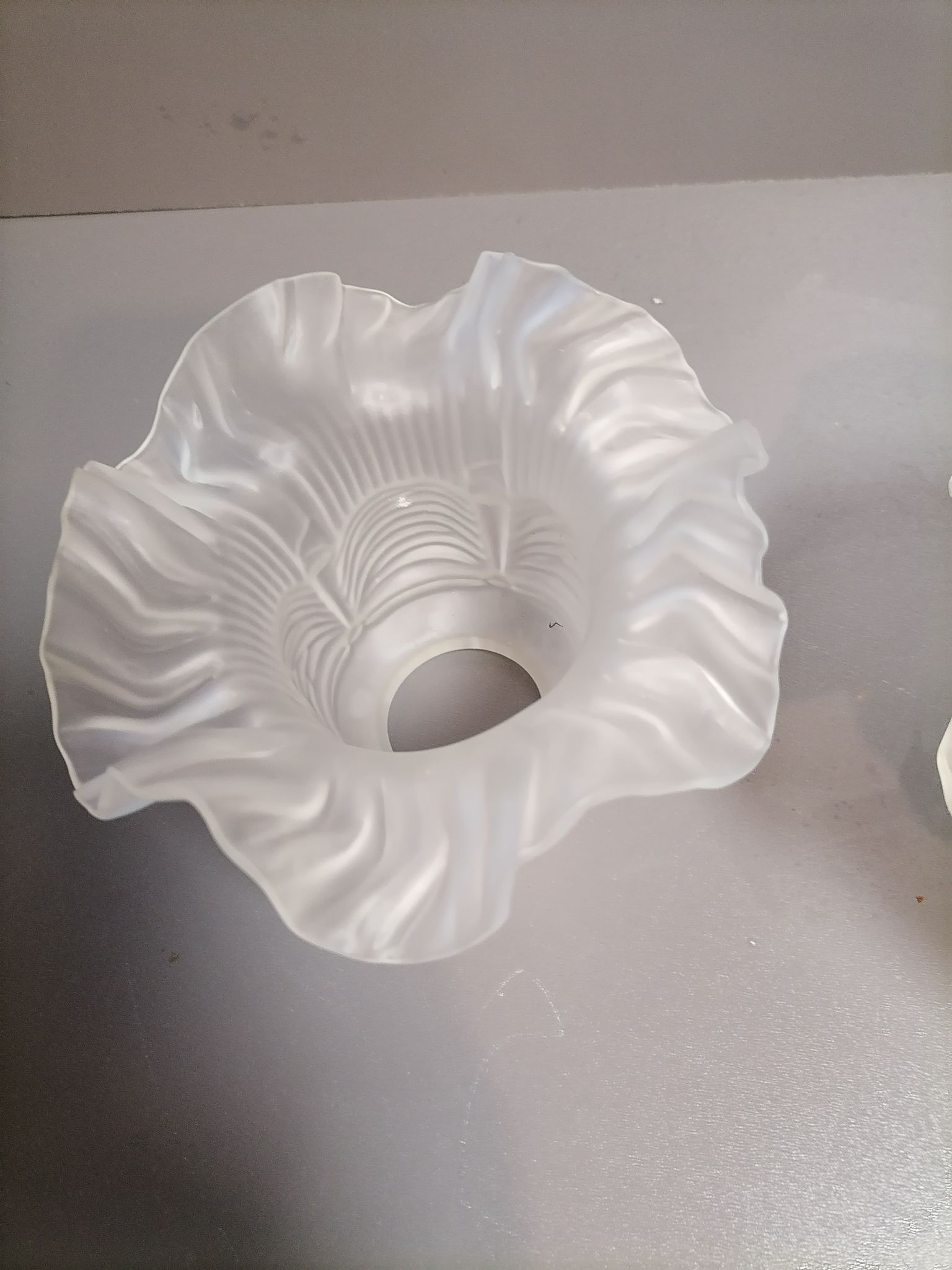Tulip for Opaque Glass Chandelier