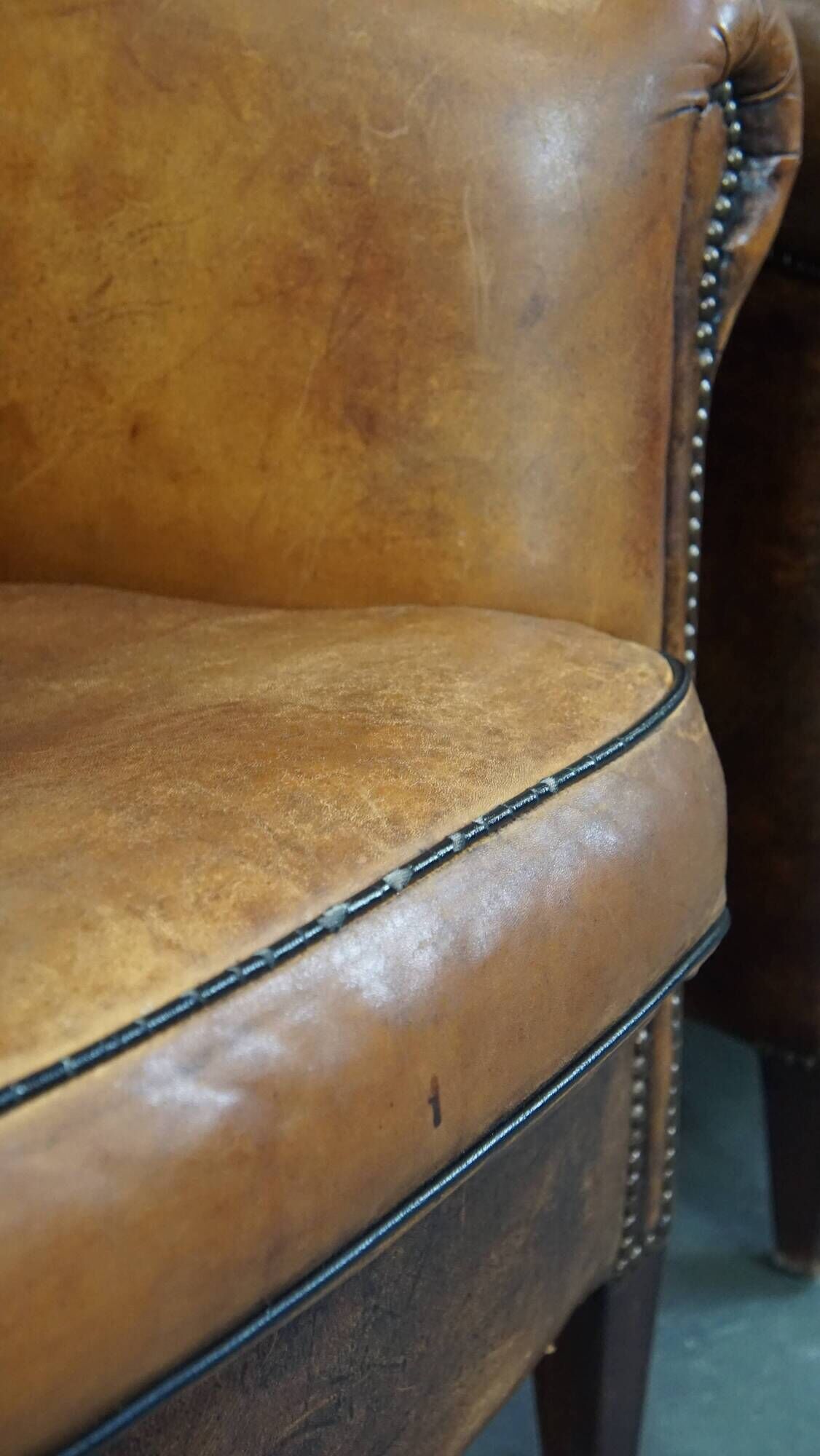 Set of 2 club armchairs in sheepskin leather with black piping