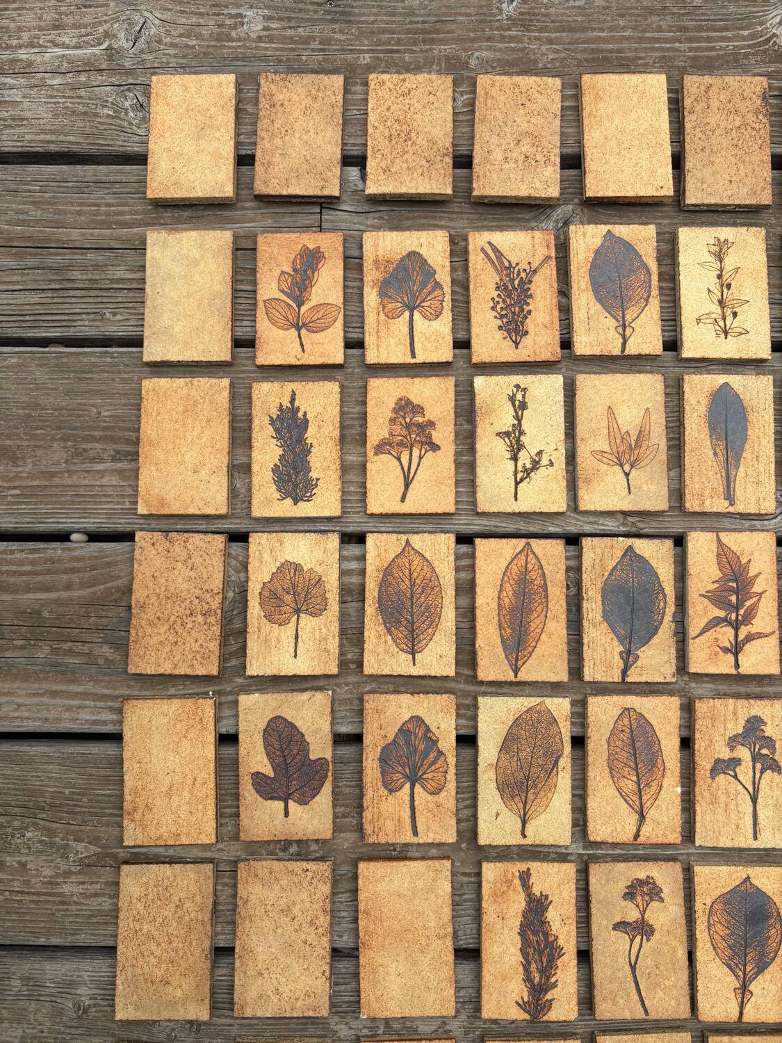 Set of 52 Vallauris herbarium tiles signed Capron