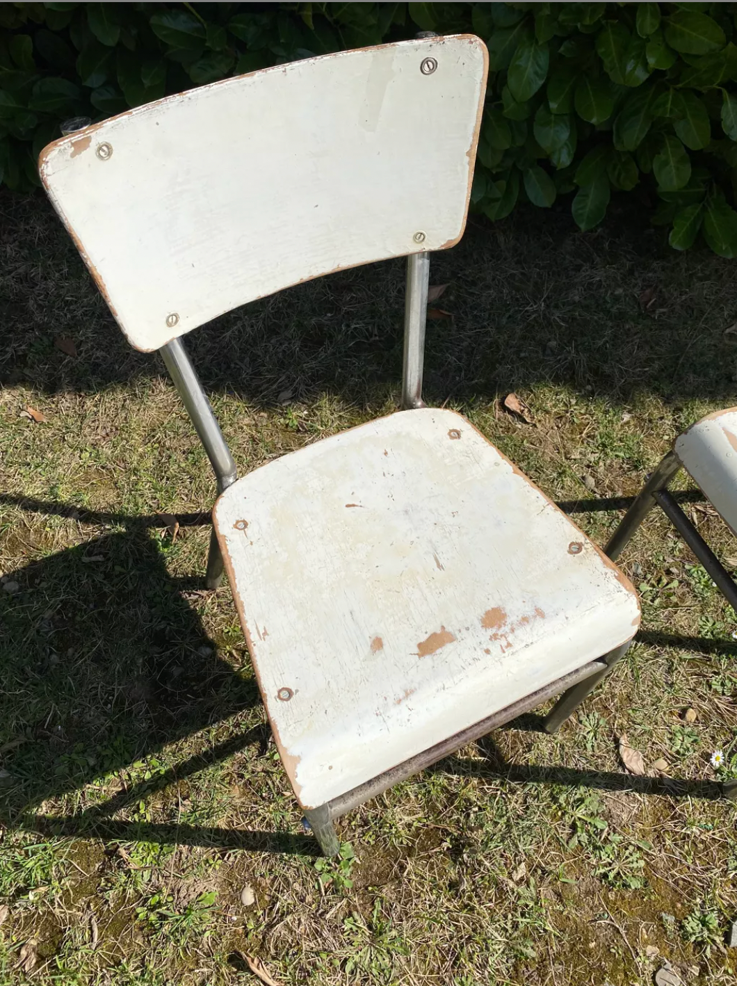Pair of chairs in patinated white wood and metal structure