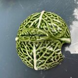 Cabbage bubble