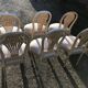 6 louis XVI hot air balloon chairs