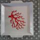 Square serving dish