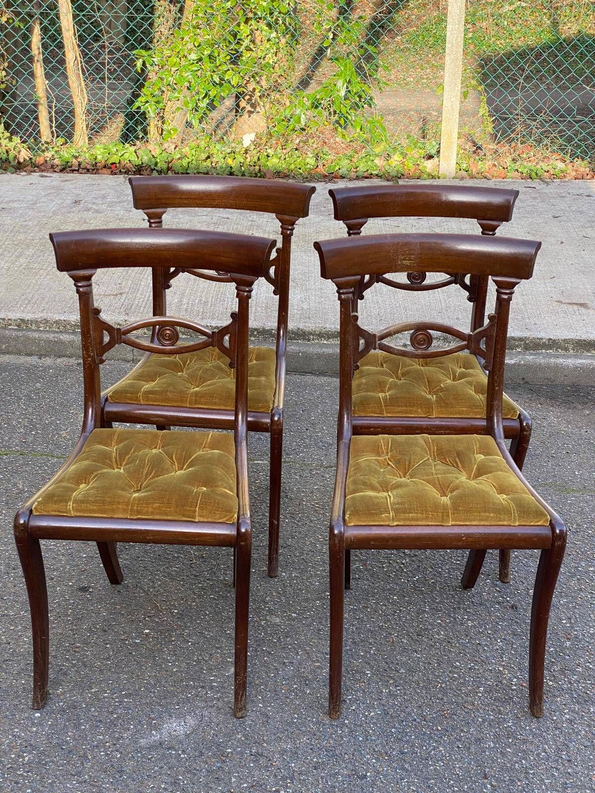 4 Regency chairs in solid wood and mustard yellow velvet fabric from the 19th century.