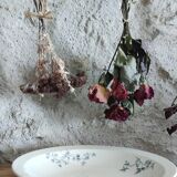 Hollow dish Iron Earth Longwy model "cute"