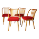 Mid century Dining Chairs by Antonín Šuman, 1960s, Set of 4