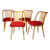 Chaises de salle à manger du milieu du siècle par Antonín Šuman, années 1960, lot de 4