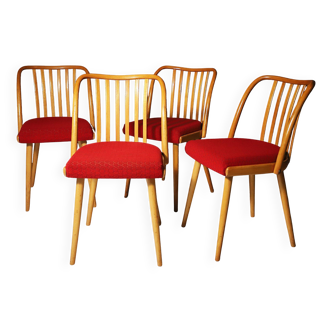 Chaises de salle à manger du milieu du siècle par Antonín Šuman, années 1960, lot de 4