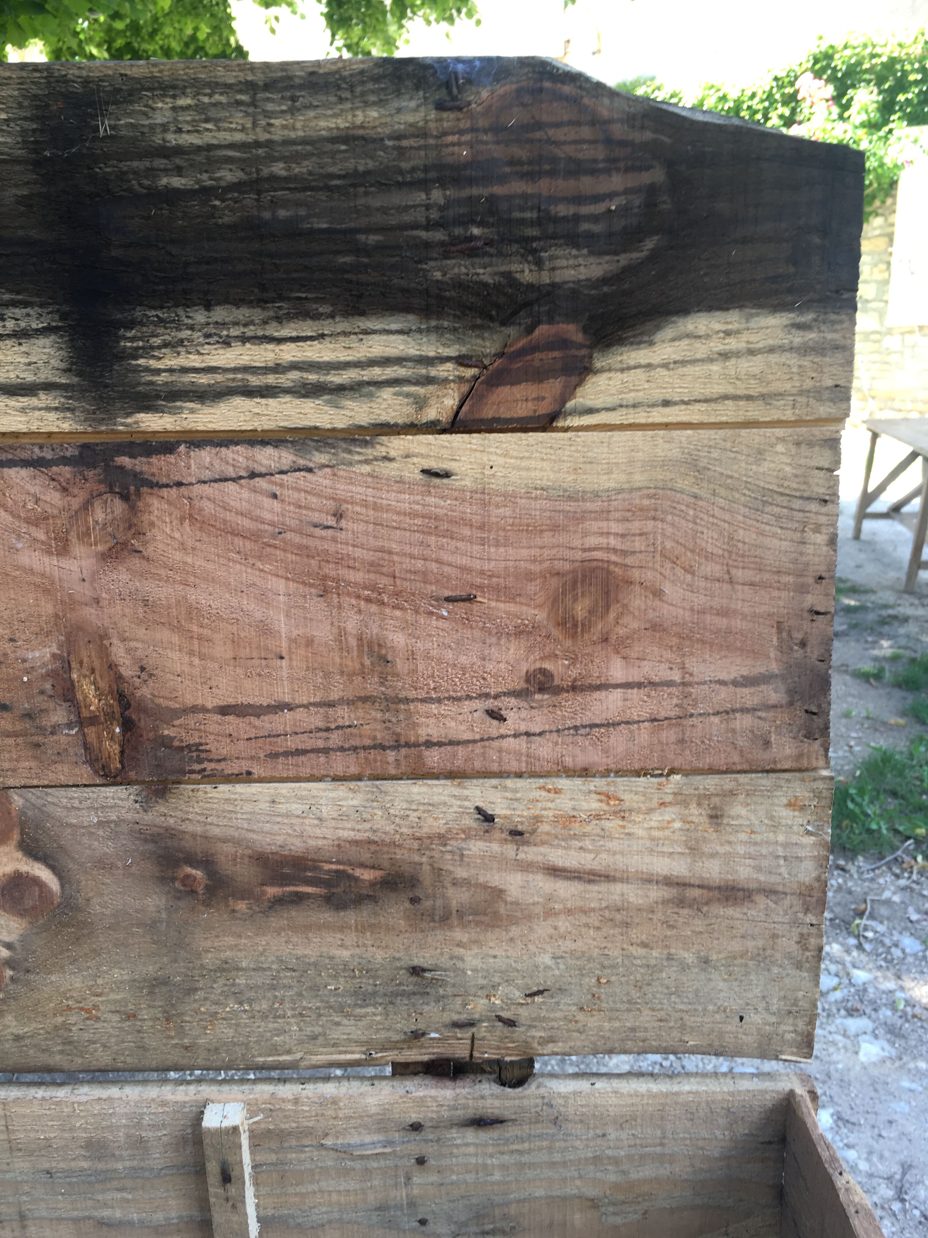 Wooden box Chocolate Foal