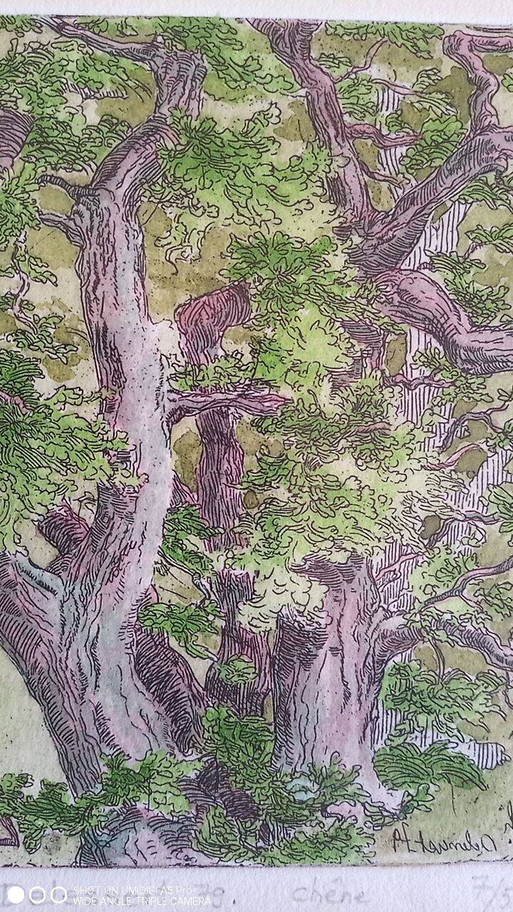 Enhanced etching - Christine Delessert - Lyonnaise school