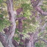 Enhanced etching - Christine Delessert - Lyonnaise school