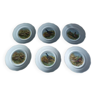 Limoge porcelain flat plate wild birds