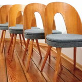 Set of five chairs, design. A. Suman, Tatra Nabytok, Czechoslovakia, 60s