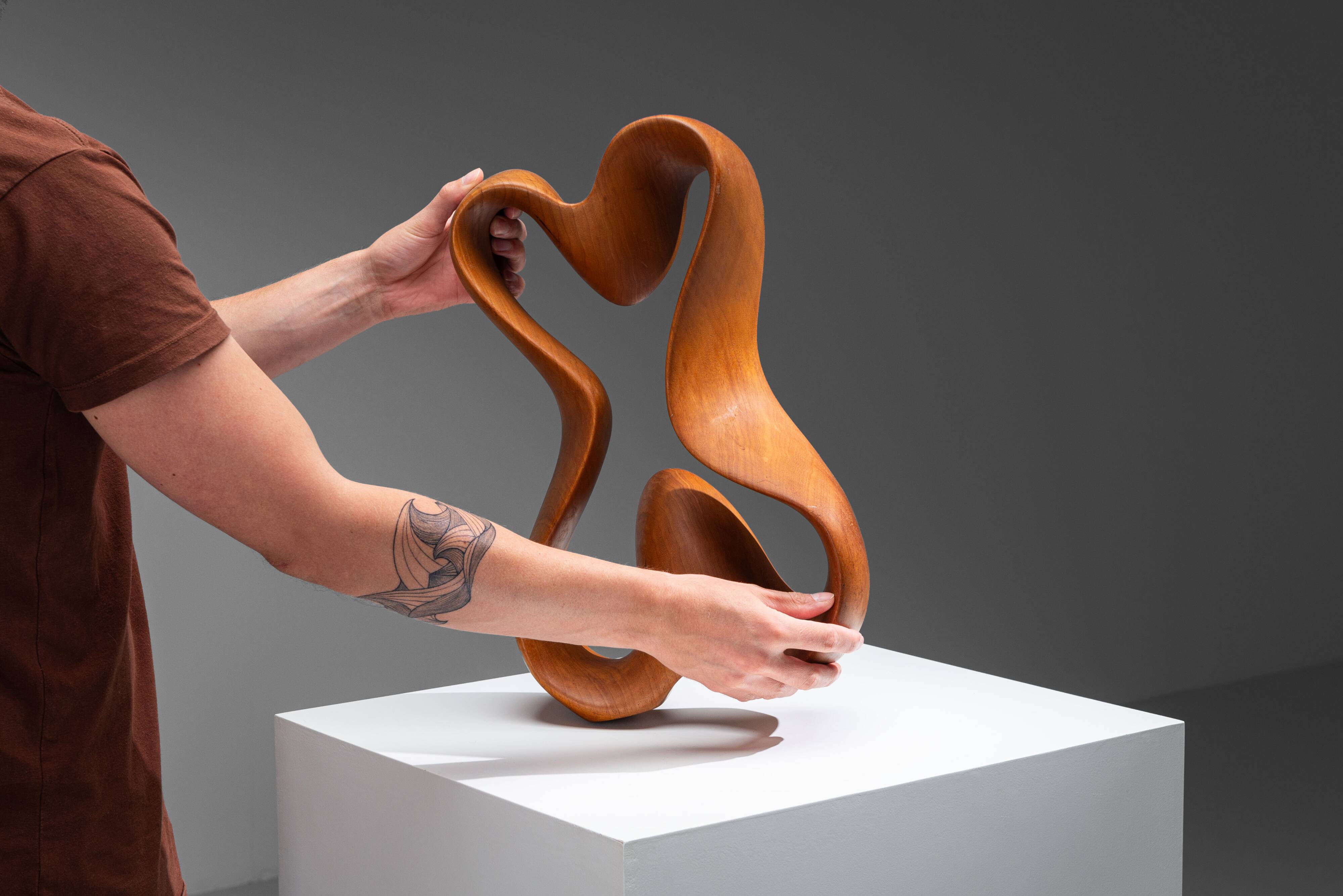 Sculpture abstraite avec des courbes organiques fluides.