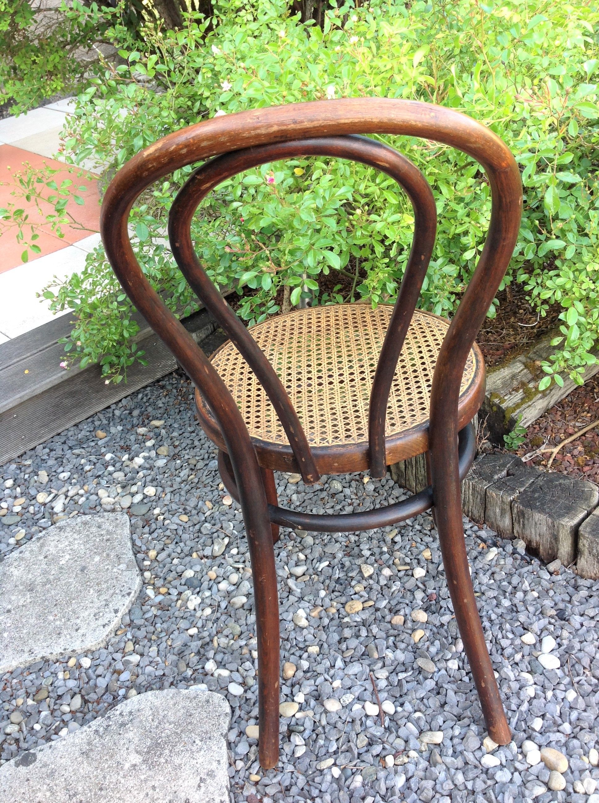Bistro chair in curved wood and cannage / vintage years 30-40