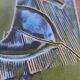 Vintage enamelled ceramic pocket emptier signed, 60s/70s