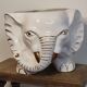 Elephant plant pot