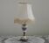 French Vintage Decorative Silver Metal and Porcelain Shaded Table Lamp