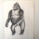 Gorilla Illustration