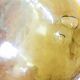 Demijohn