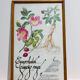 Cynorrondon and red ginseng pharmacy herbarium frame