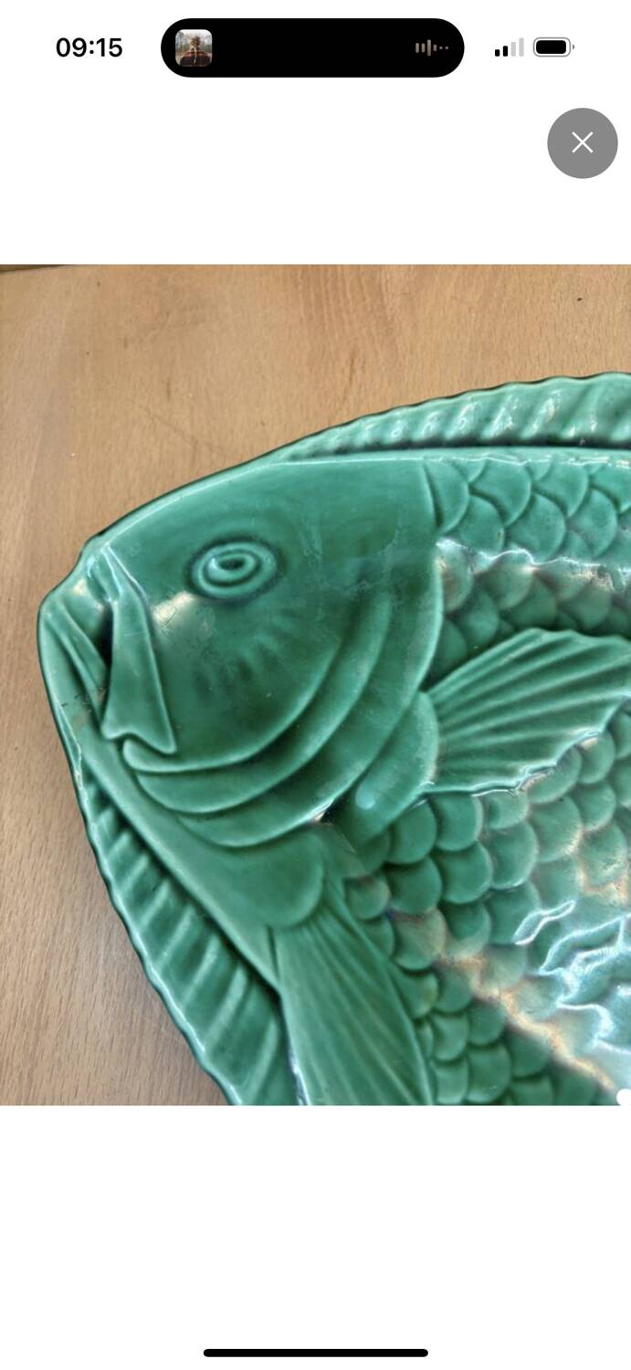 Sarreguemines fish dish