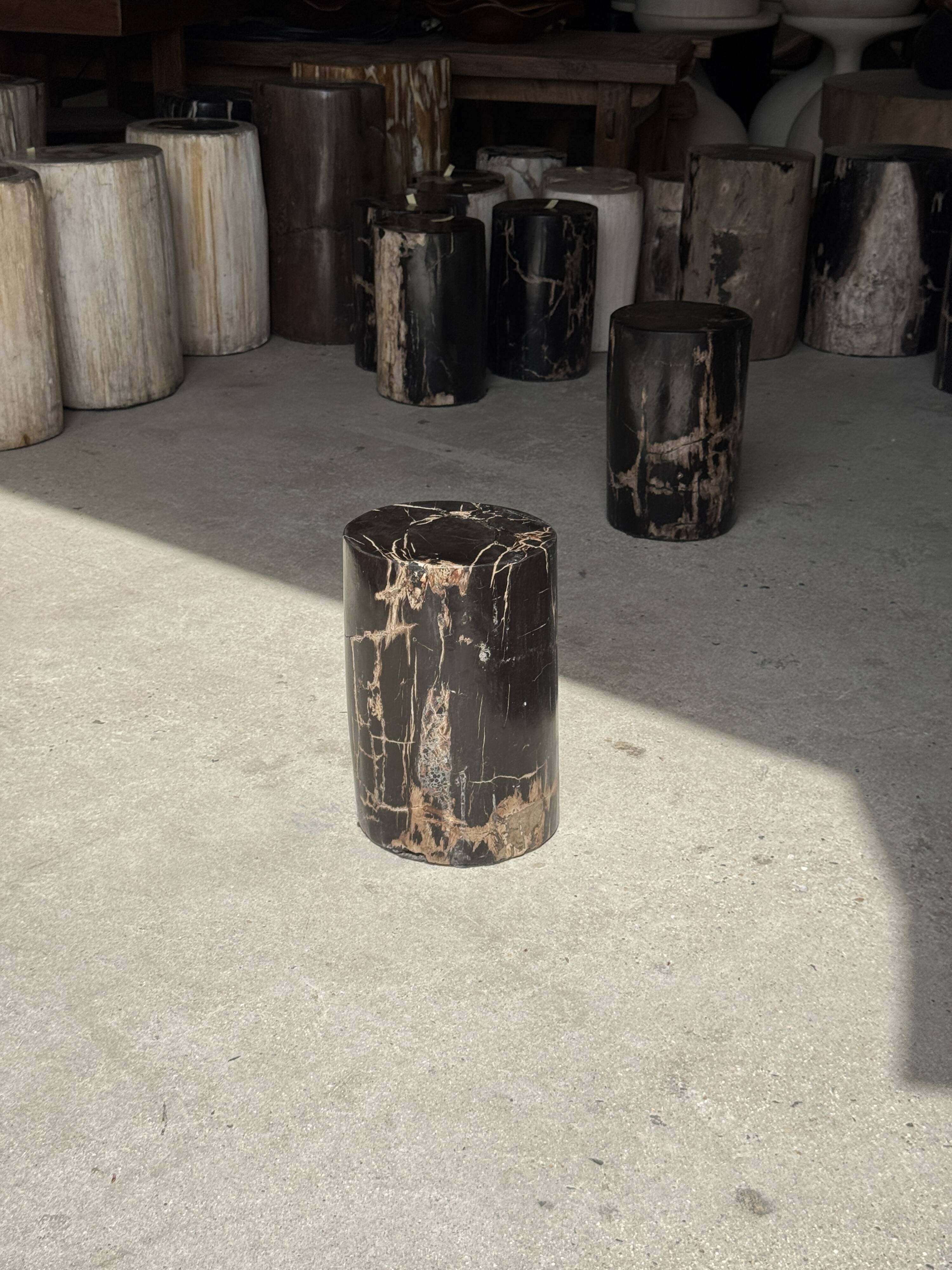 Small black petrified wood side table with beige stripes H28 D18 - 3347