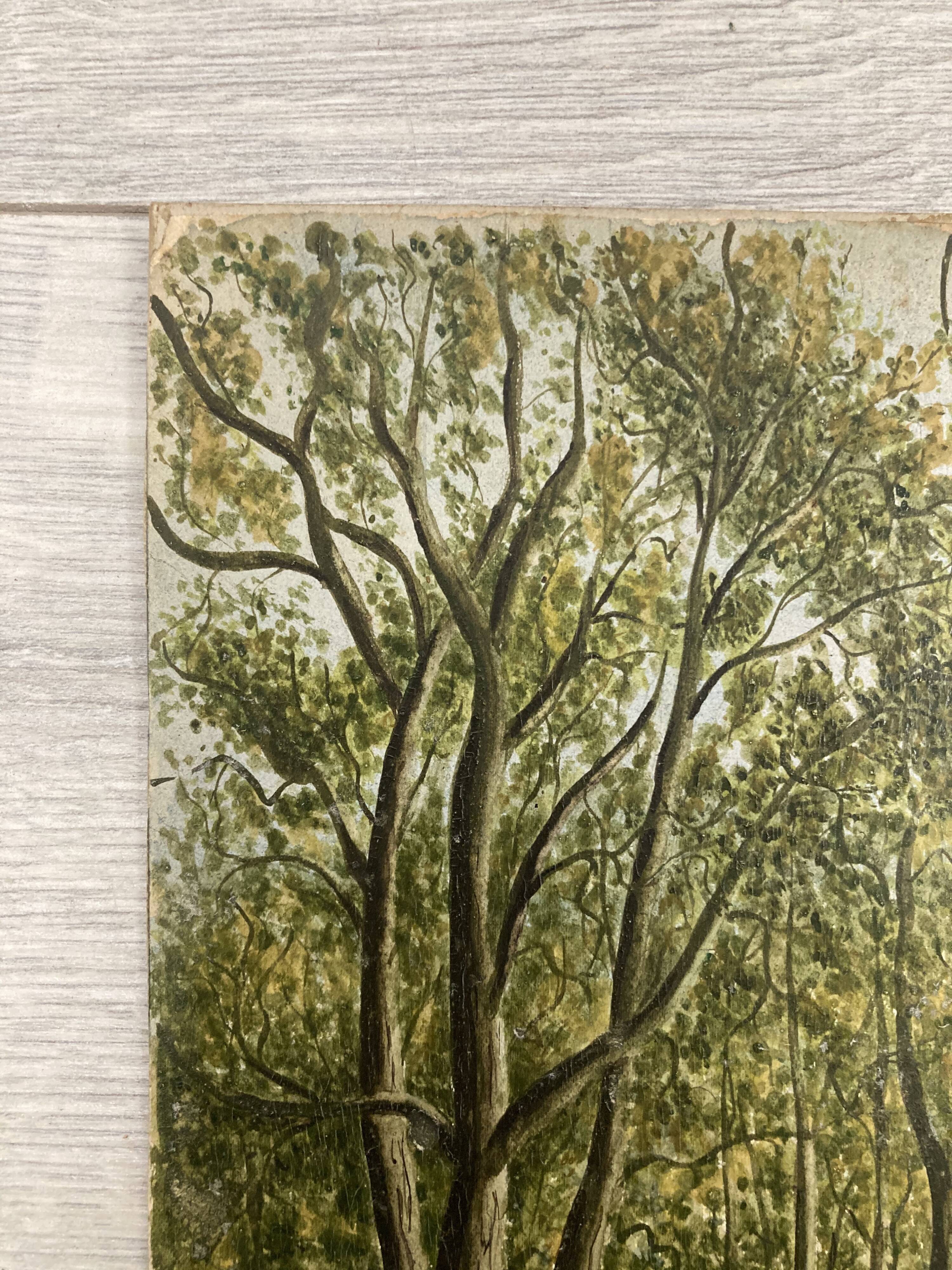 Aquarelle vintage