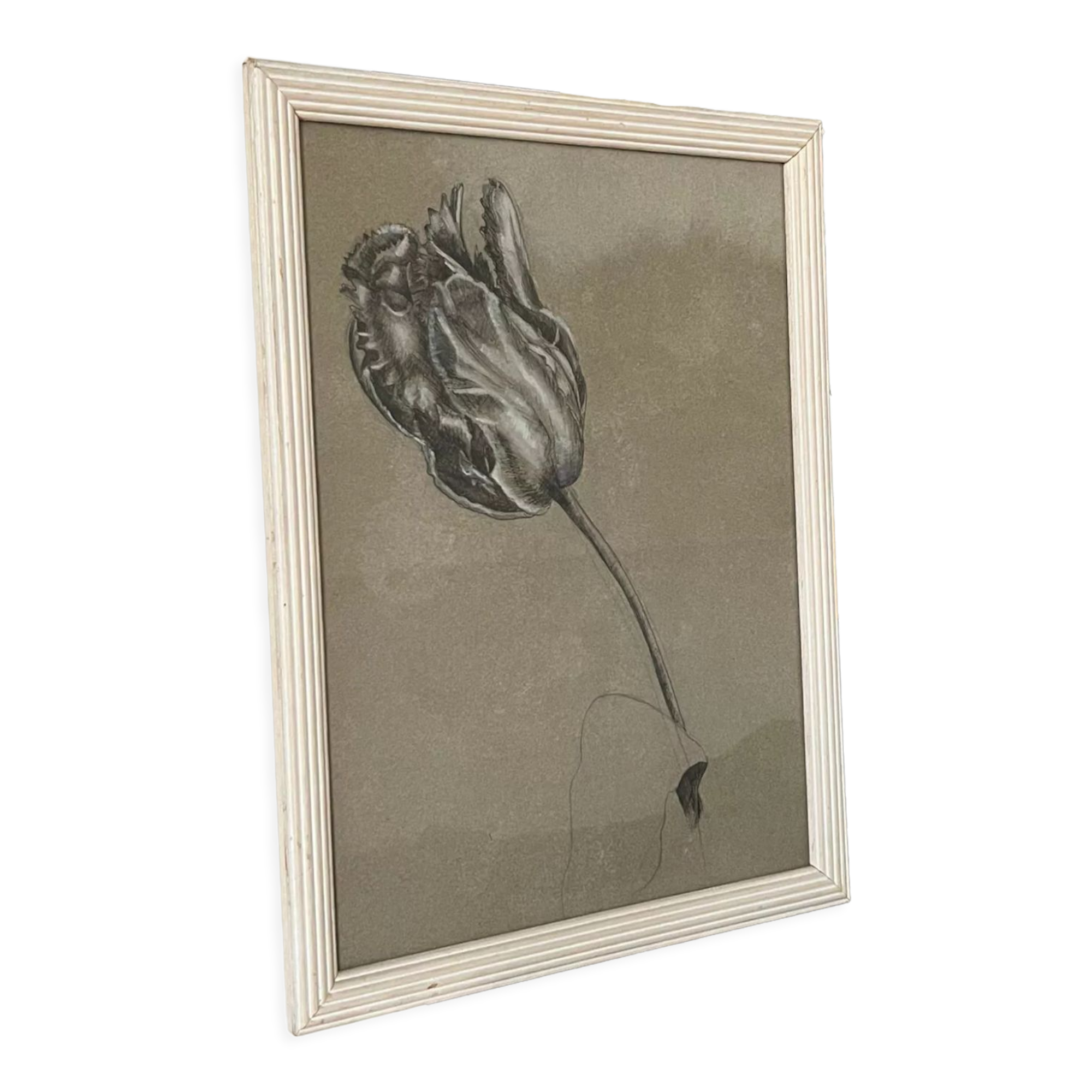 Etude documentaire d'une fleur, drawing, Dumant, 1951