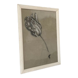 Etude documentaire d'une fleur, drawing, Dumant, 1951