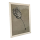 Etude documentaire d'une fleur, dessin, Dumant, 1951
