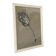 Etude documentaire d'une fleur, dessin, Dumant, 1951
