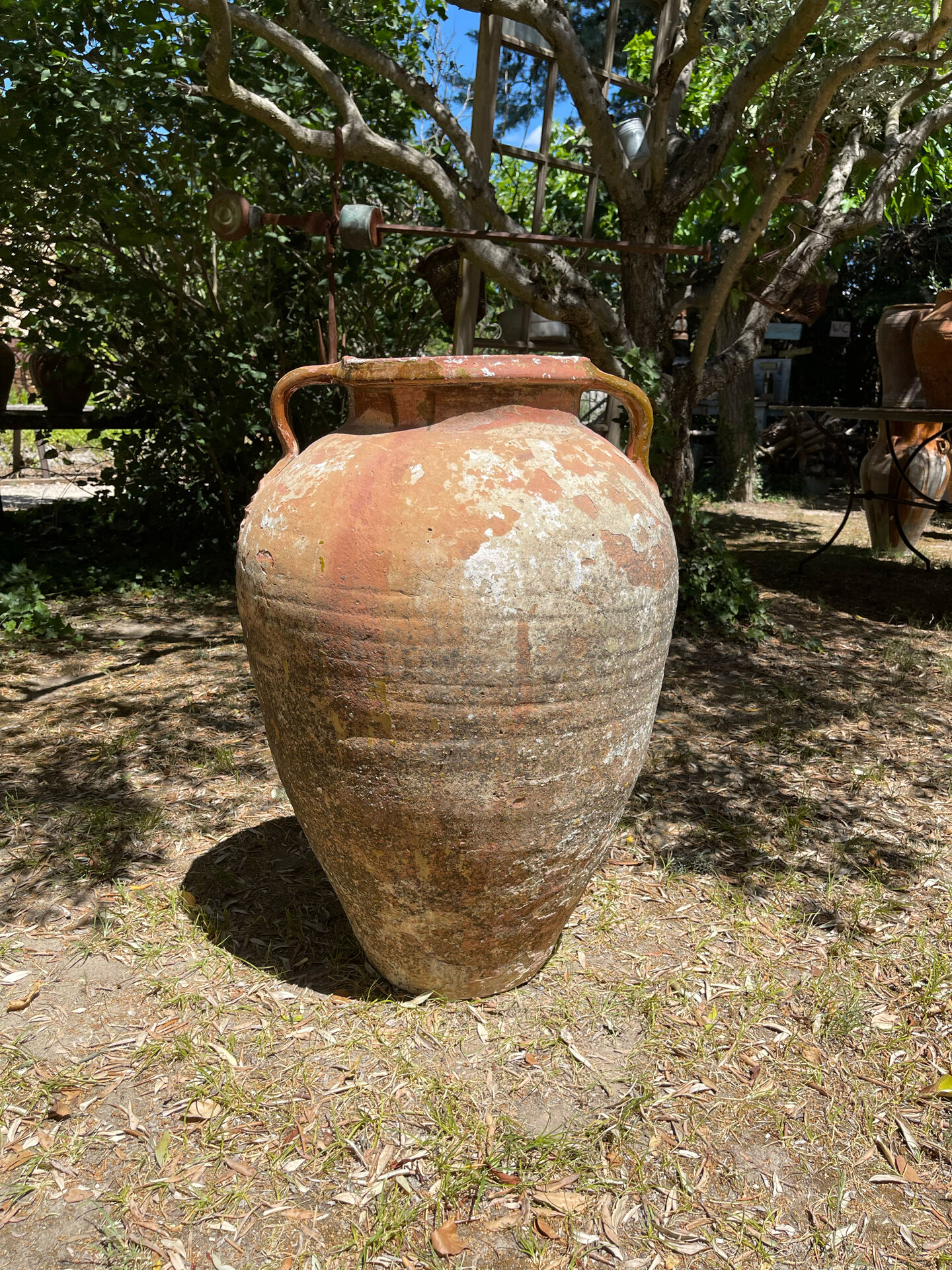 Ancient terracotta pottery jar