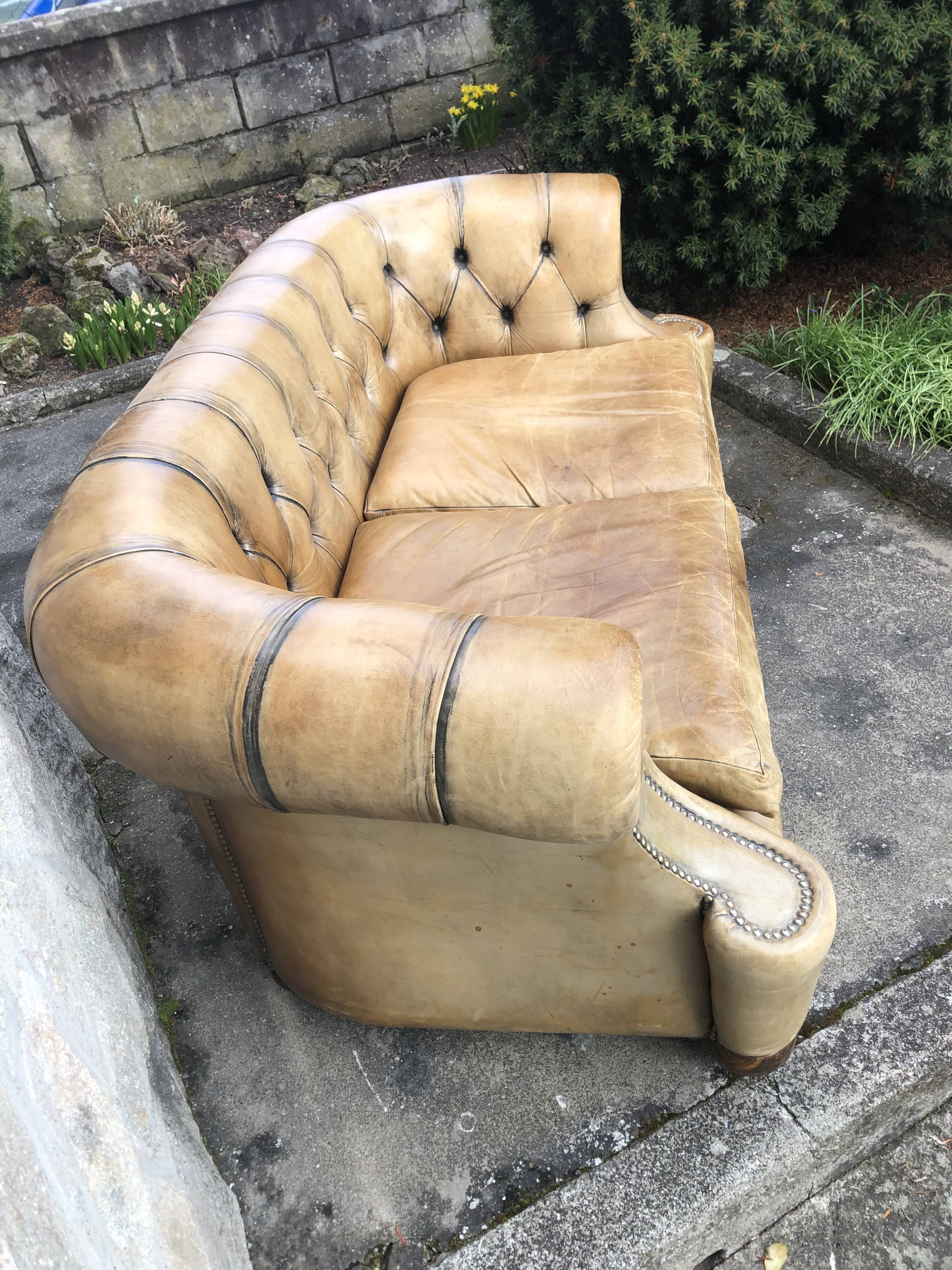 2-seater Chesterfield sofa in tan leather