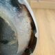 Space age soveno ashtray
