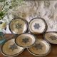 Flat plates Jules Vieillard Bordeaux in ironstone