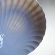 Set of 6 shell-shaped bowls in Limoges porcelain by Philippe Deshoulières.