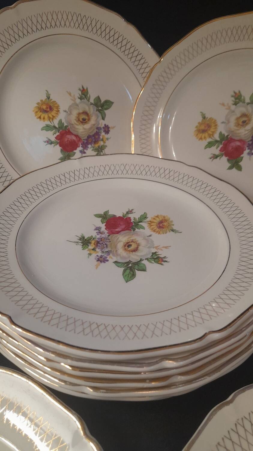 Set of 11 Ceranor St Amand Semi Vitrified Sapho plates