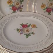 Set of 11 Ceranor St Amand Semi Vitrified Sapho plates